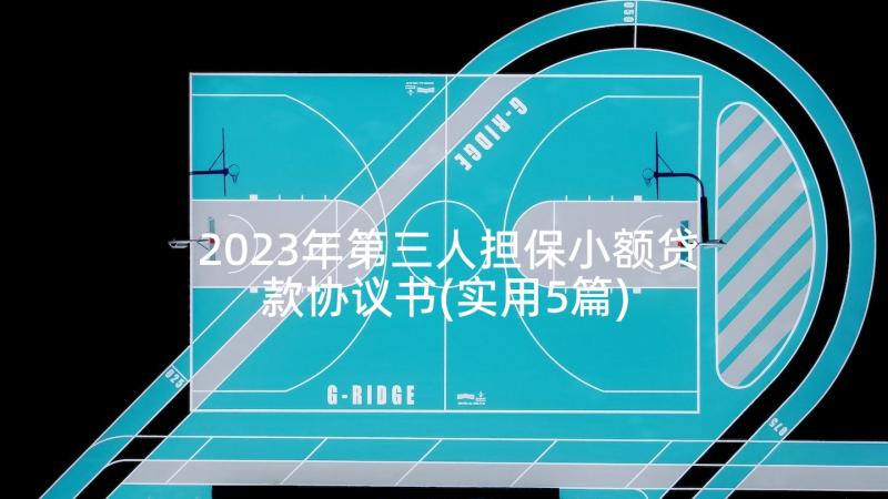 2023年第三人担保小额贷款协议书(实用5篇)