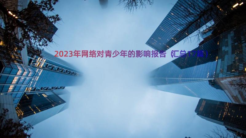 2023年网络对青少年的影响报告（汇总17篇）