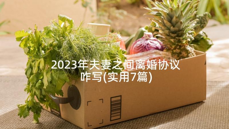 2023年夫妻之间离婚协议咋写(实用7篇)