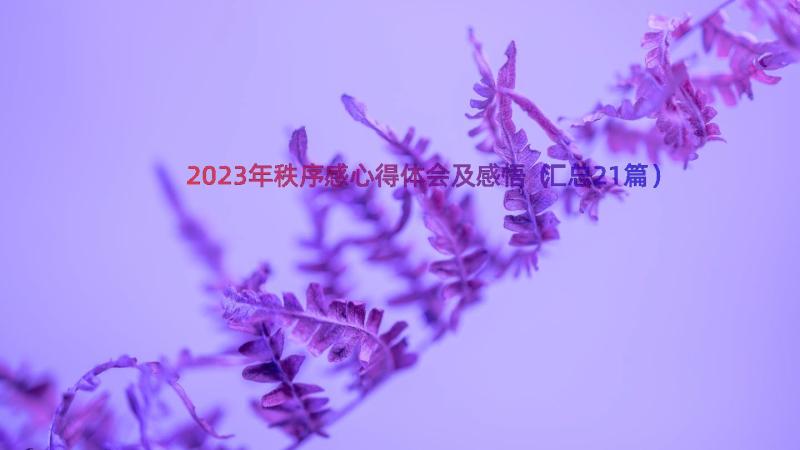 2023年秩序感心得体会及感悟（汇总21篇）