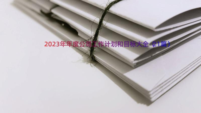 2023年年度公司工作计划和目标大全（21篇）