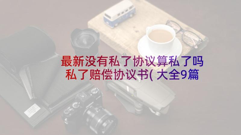 最新没有私了协议算私了吗 私了赔偿协议书(大全9篇)