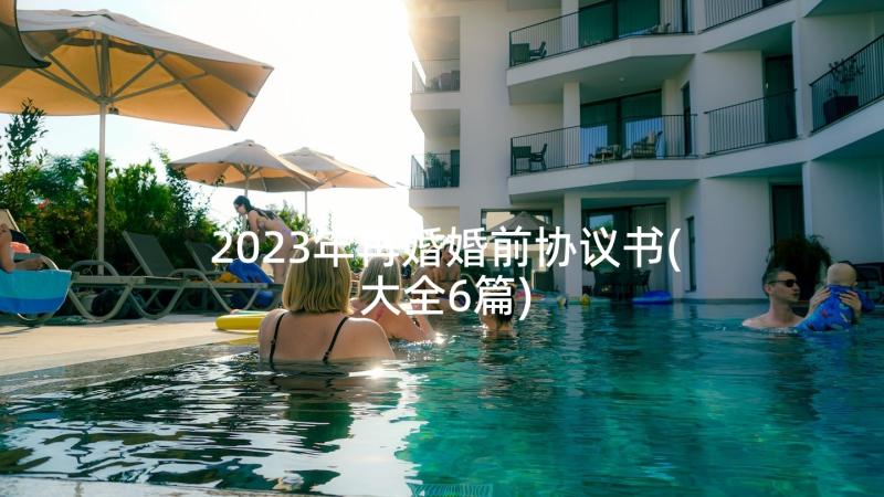 2023年再婚婚前协议书(大全6篇)