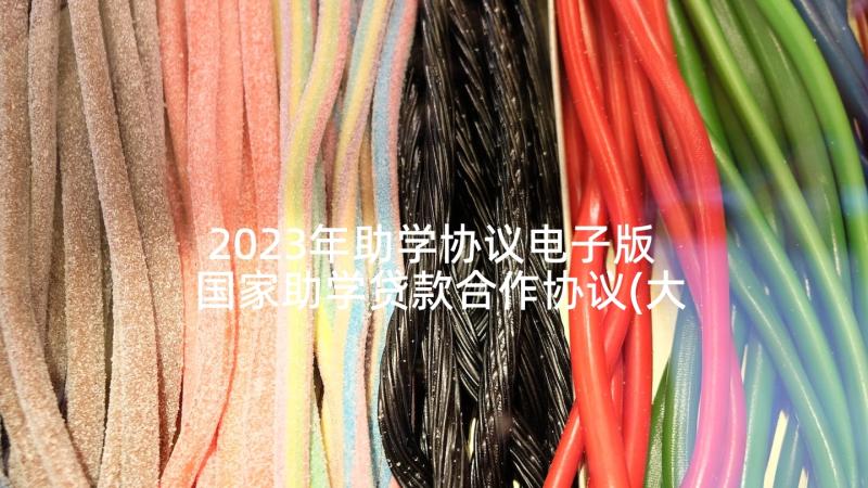 2023年助学协议电子版 国家助学贷款合作协议(大全6篇)