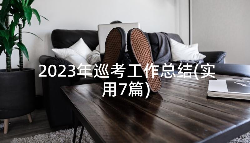 2023年巡考工作总结(实用7篇)