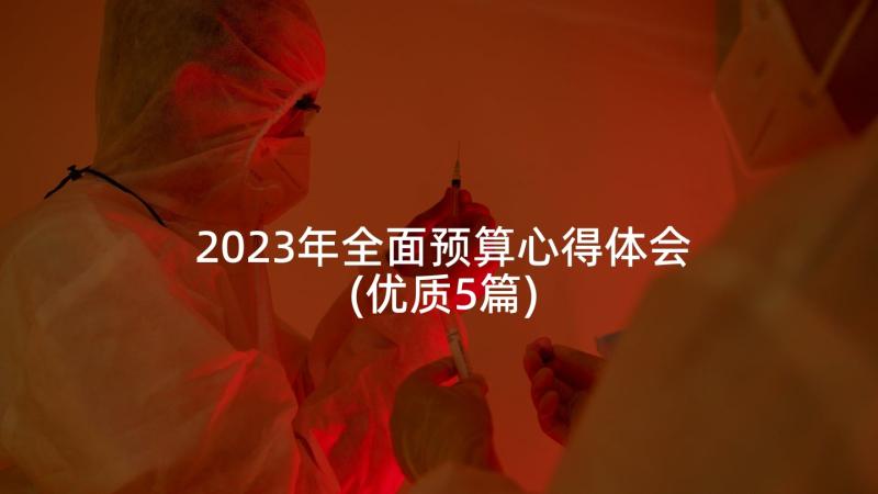 2023年全面预算心得体会(优质5篇)