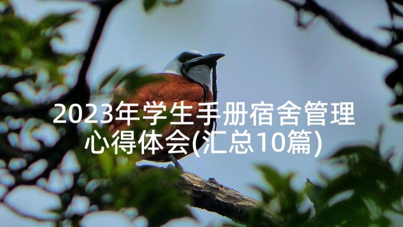 2023年学生手册宿舍管理心得体会(汇总10篇)