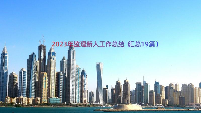 2023年监理新人工作总结（汇总19篇）