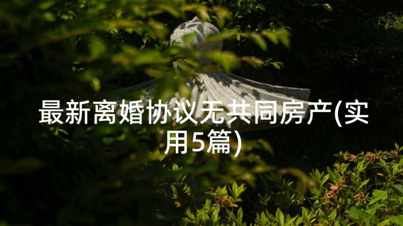 最新离婚协议无共同房产(实用5篇)