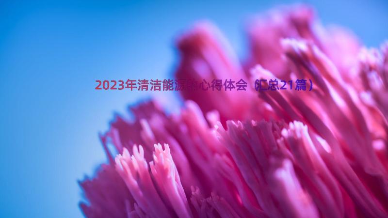 2023年清洁能源的心得体会（汇总21篇）