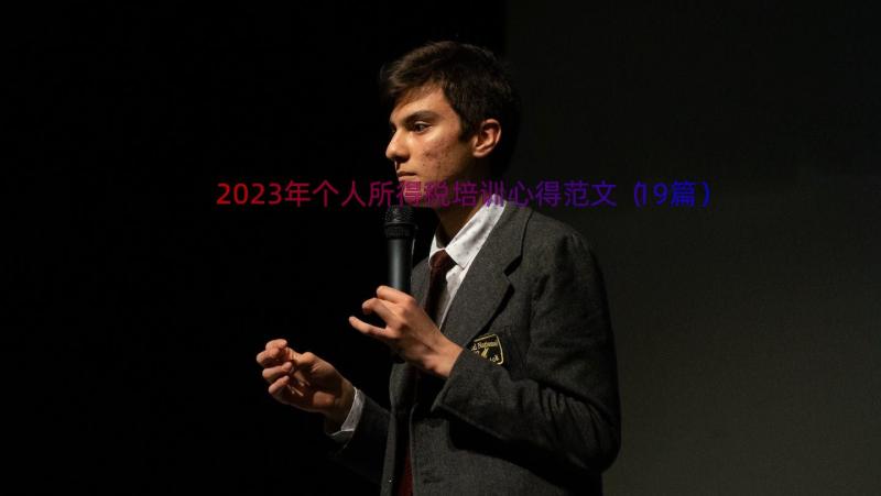 2023年个人所得税培训心得范文（19篇）