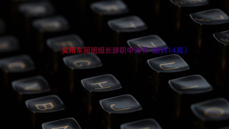 实用车间班组长辞职申请书（案例14篇）