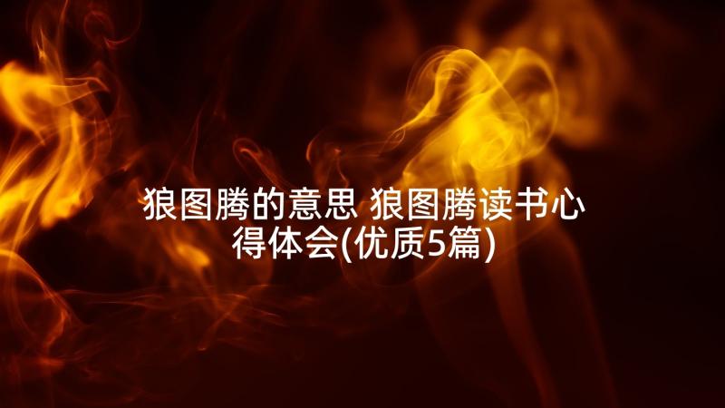 狼图腾的意思 狼图腾读书心得体会(优质5篇)