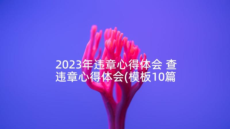 2023年违章心得体会 查违章心得体会(模板10篇)
