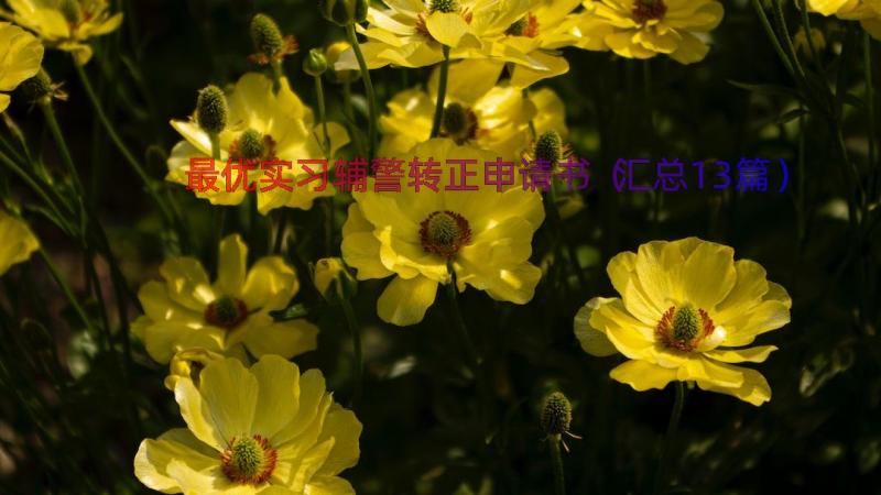 最优实习辅警转正申请书（汇总13篇）