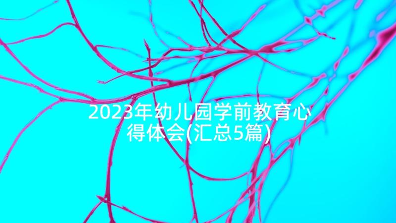 2023年幼儿园学前教育心得体会(汇总5篇)