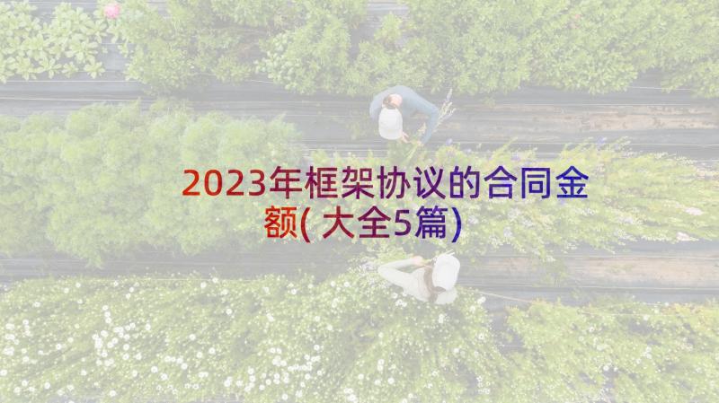 2023年框架协议的合同金额(大全5篇)