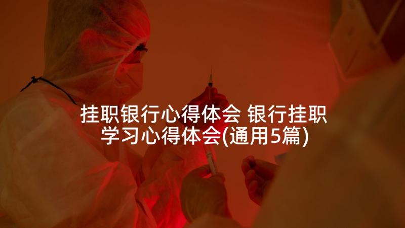 挂职银行心得体会 银行挂职学习心得体会(通用5篇)