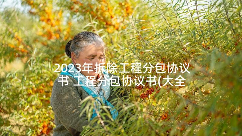 2023年拆除工程分包协议书 工程分包协议书(大全5篇)