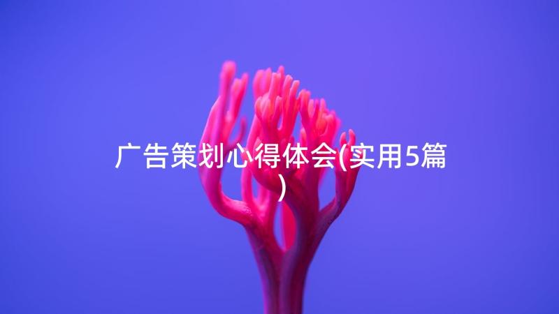 广告策划心得体会(实用5篇)