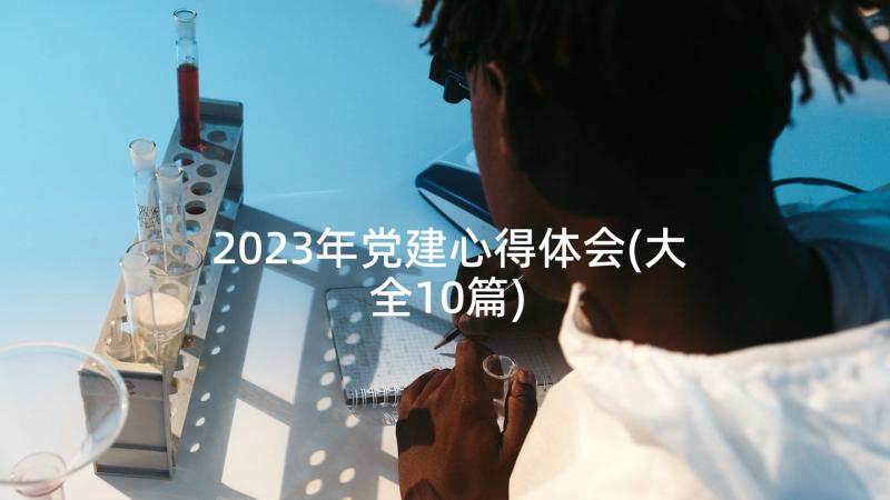 2023年党建心得体会(大全10篇)