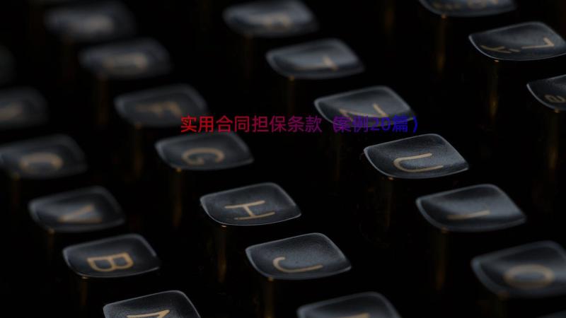 实用合同担保条款（案例20篇）