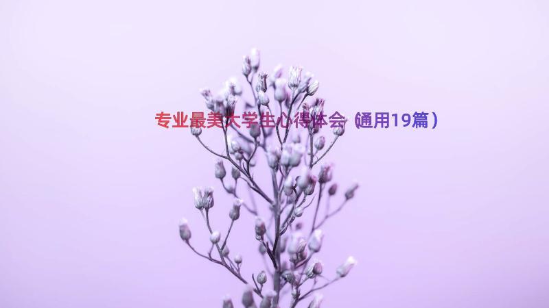 专业最美大学生心得体会（通用19篇）