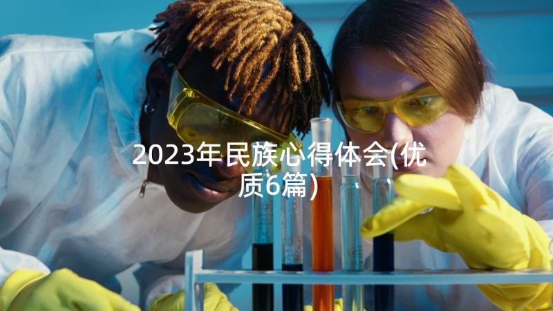 2023年民族心得体会(优质6篇)