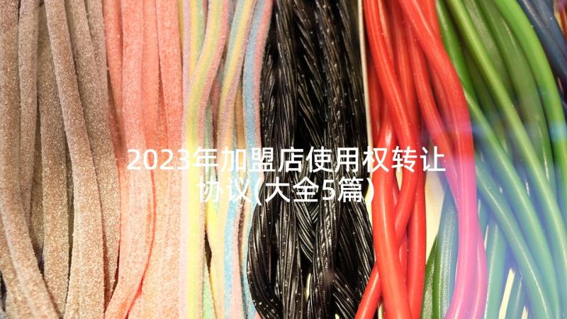 2023年加盟店使用权转让协议(大全5篇)