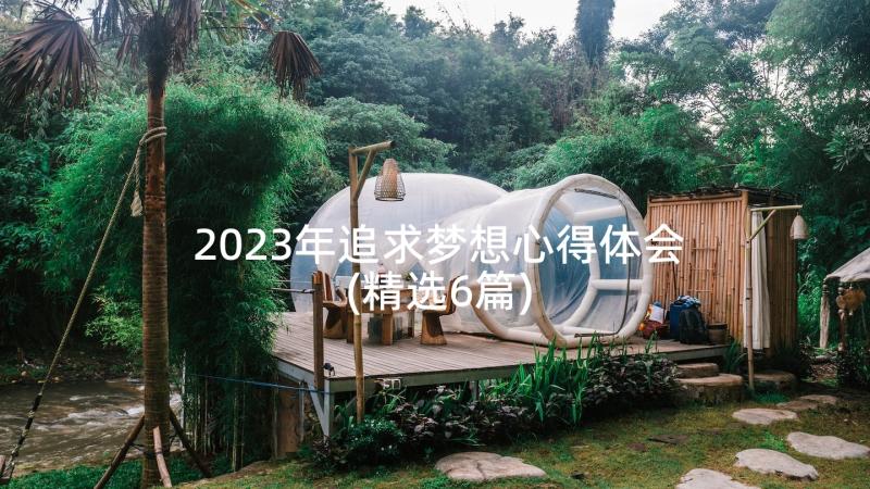 2023年追求梦想心得体会(精选6篇)