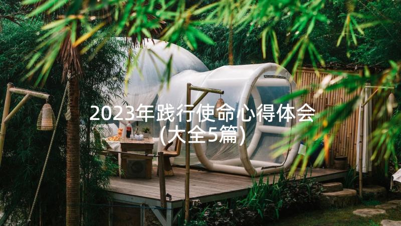 2023年践行使命心得体会(大全5篇)