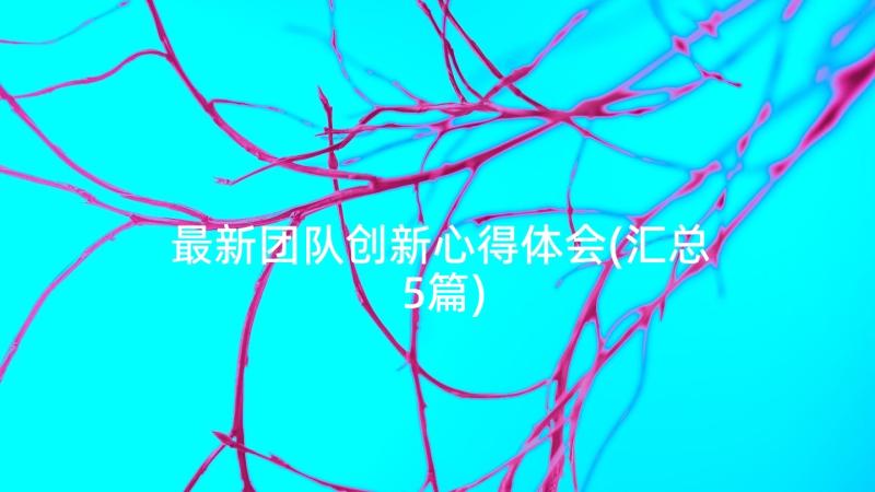 最新团队创新心得体会(汇总5篇)