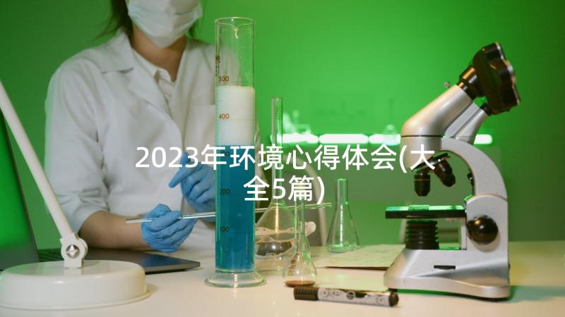 2023年环境心得体会(大全5篇)