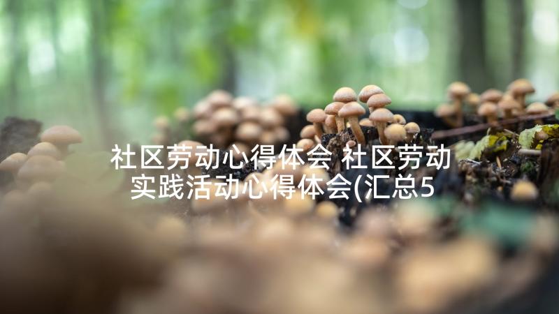 社区劳动心得体会 社区劳动实践活动心得体会(汇总5篇)