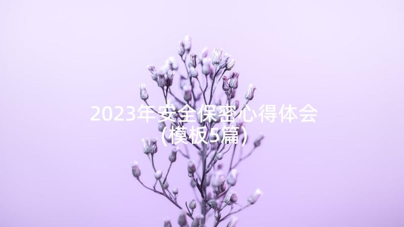 2023年安全保密心得体会(模板5篇)