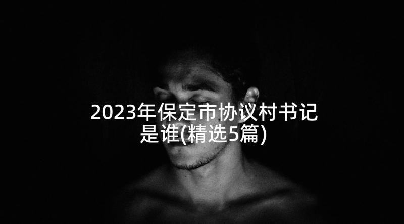 2023年保定市协议村书记是谁(精选5篇)