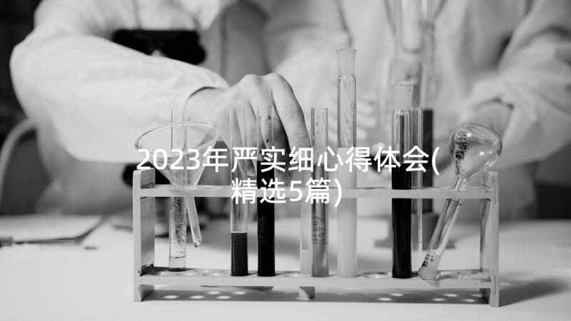 2023年严实细心得体会(精选5篇)