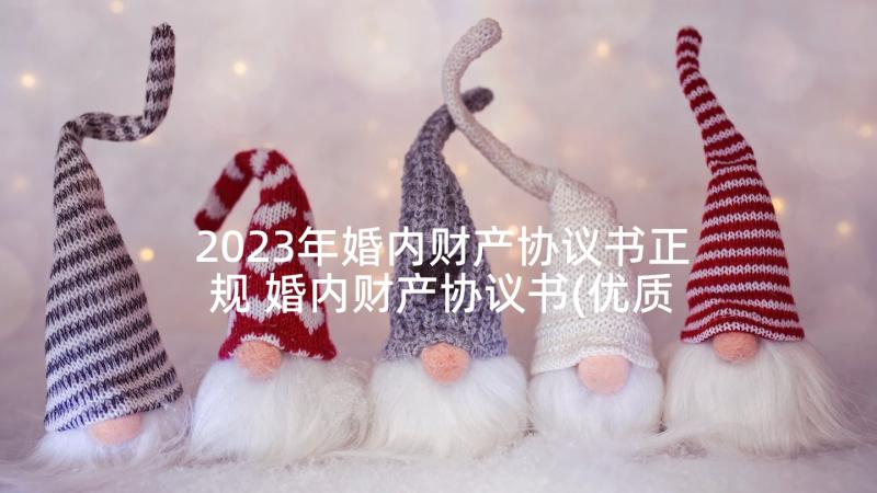 2023年婚内财产协议书正规 婚内财产协议书(优质9篇)