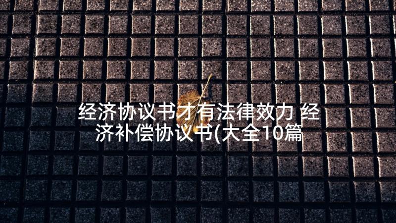 经济协议书才有法律效力 经济补偿协议书(大全10篇)