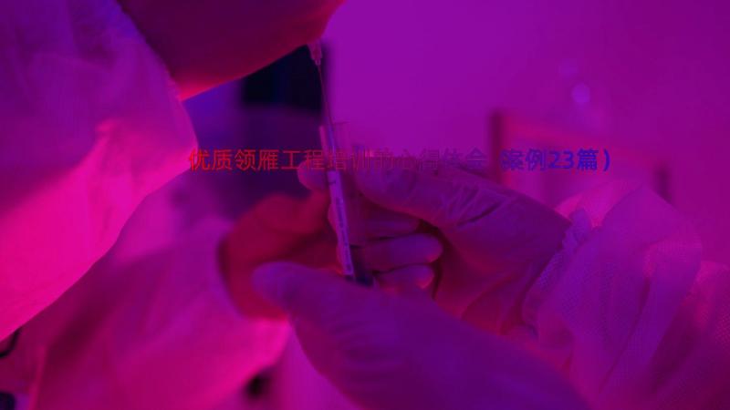 优质领雁工程培训的心得体会（案例23篇）