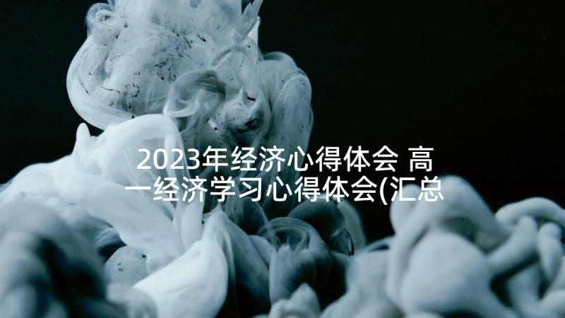 2023年经济心得体会 高一经济学习心得体会(汇总6篇)