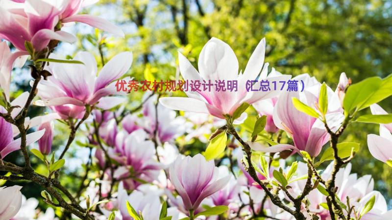 优秀农村规划设计说明（汇总17篇）