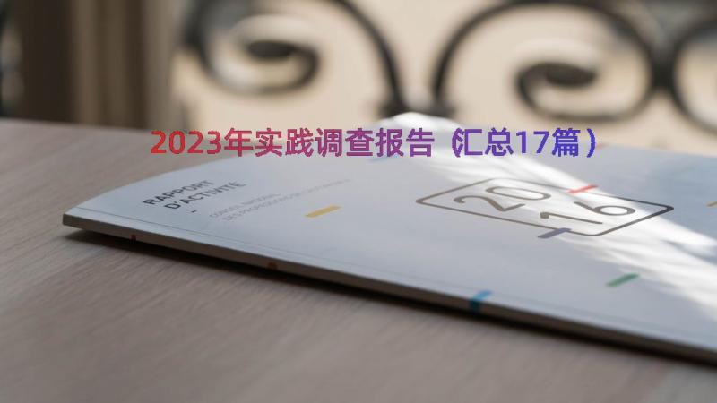 2023年实践调查报告（汇总17篇）