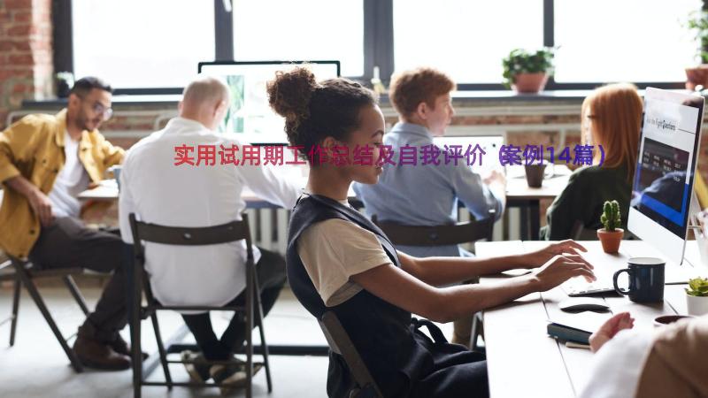 实用试用期工作总结及自我评价（案例14篇）