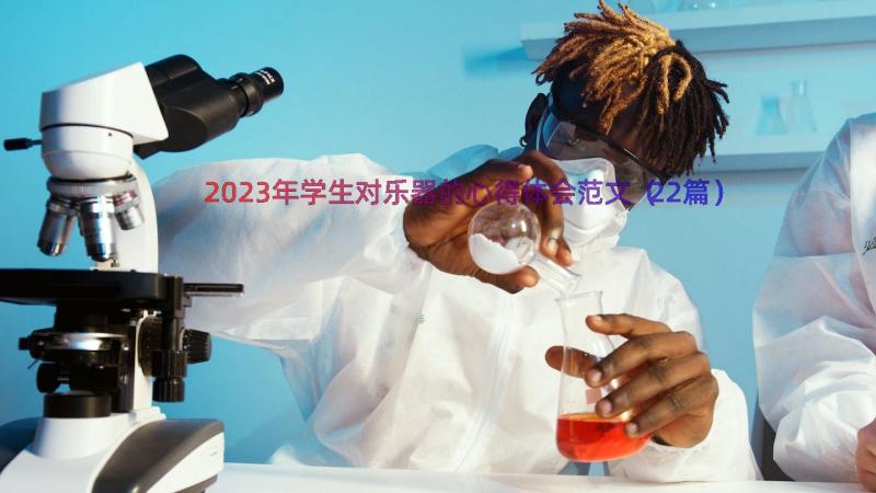 2023年学生对乐器的心得体会范文（22篇）