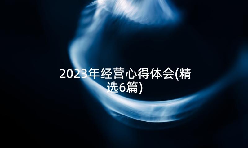 2023年经营心得体会(精选6篇)