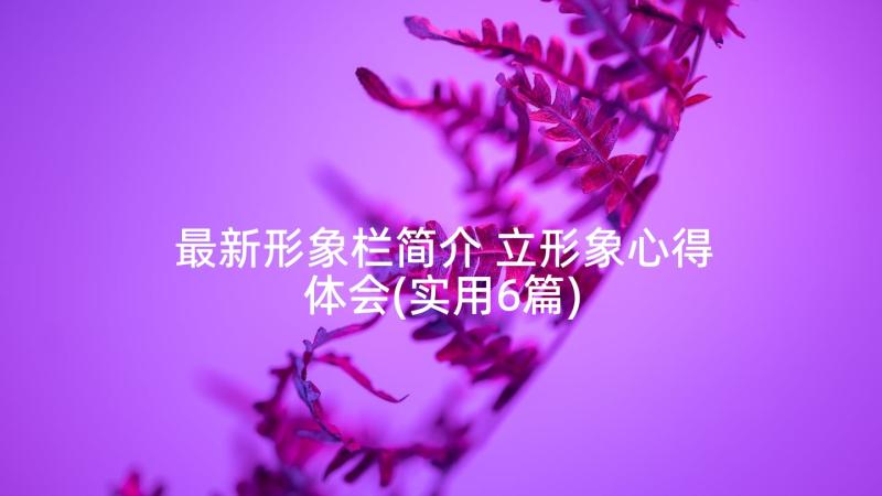 最新形象栏简介 立形象心得体会(实用6篇)