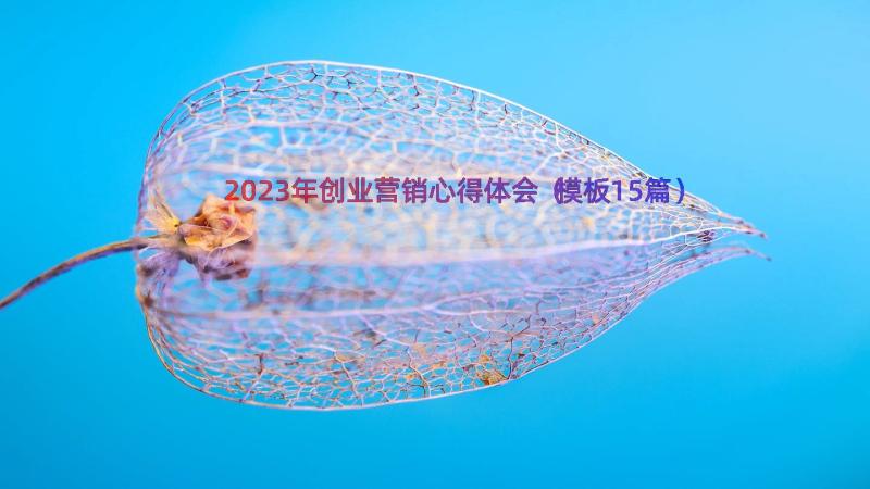 2023年创业营销心得体会（模板15篇）