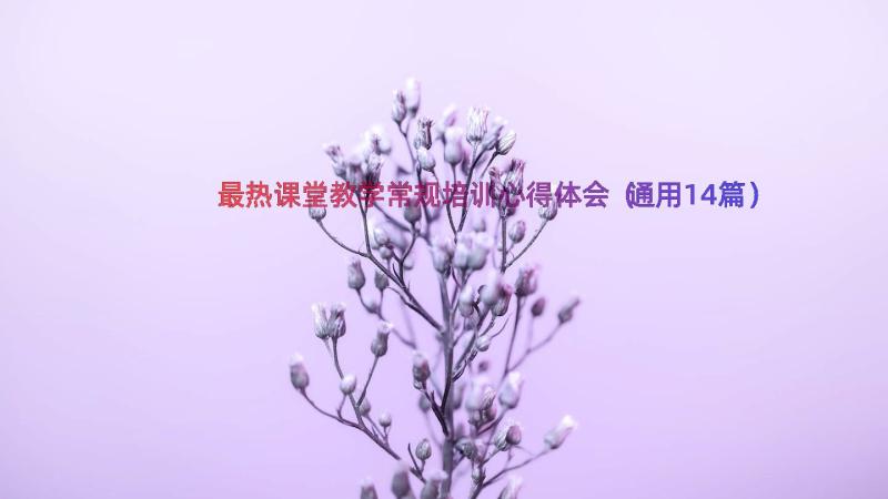 最热课堂教学常规培训心得体会（通用14篇）