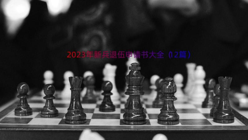 2023年新兵退伍申请书大全（12篇）